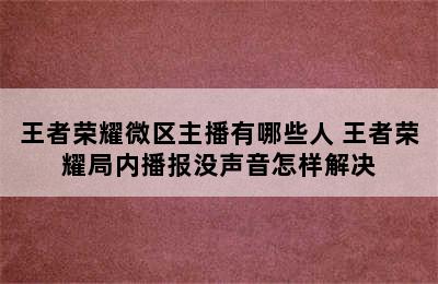 王者荣耀微区主播有哪些人 王者荣耀局内播报没声音怎样解决